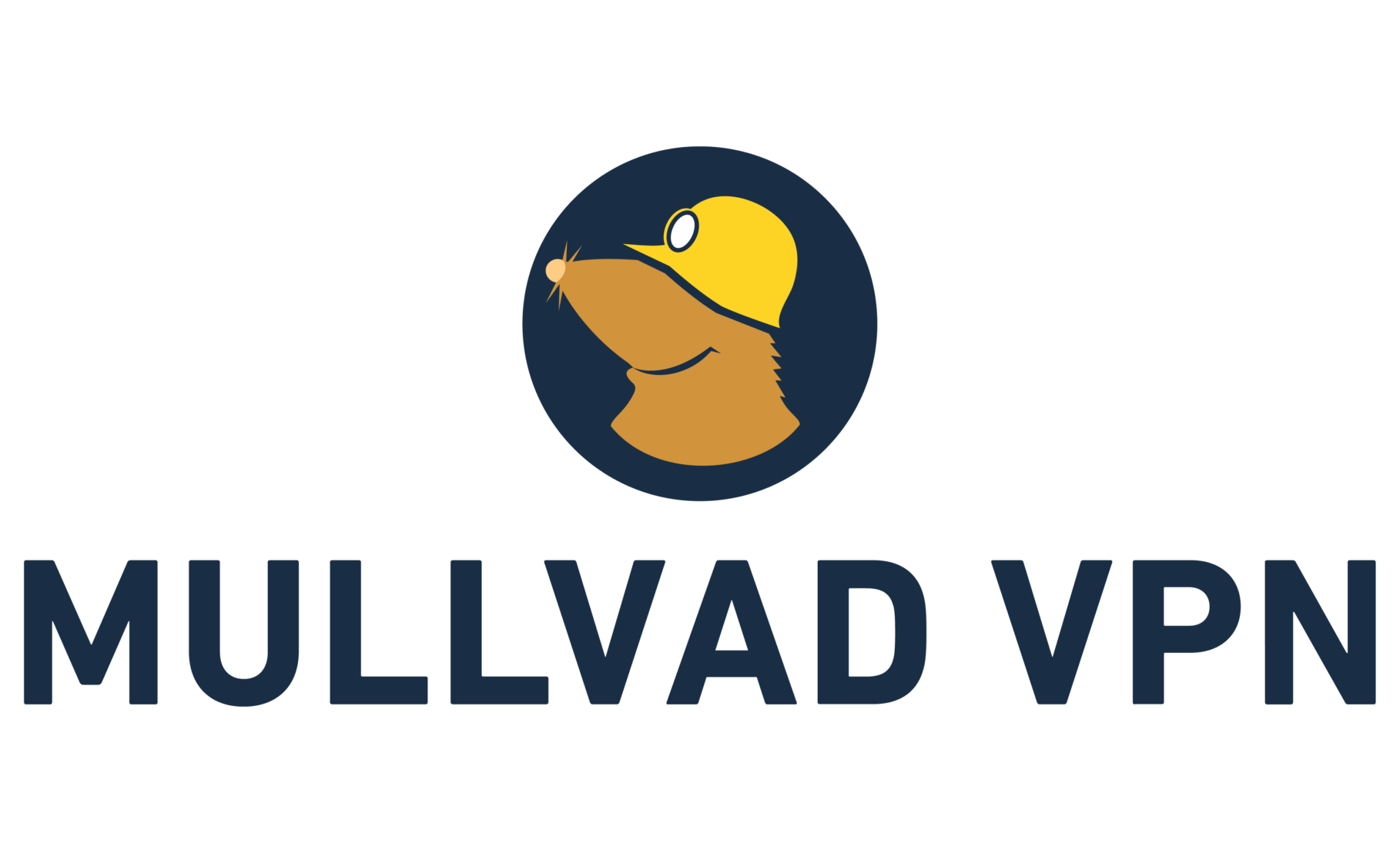 MullvadVPN Icon